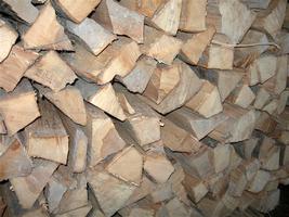 Holz-001_